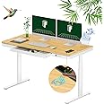 FLEXISPOT 55" Bamboo Standing Desk, Dual Motor 3 Stages Adjustable Height Electric Computer Workstation w/Wireless Charging, Drawer, Quick Install, 220lbs Capacity (Bamboo Tabletop + White Frame)