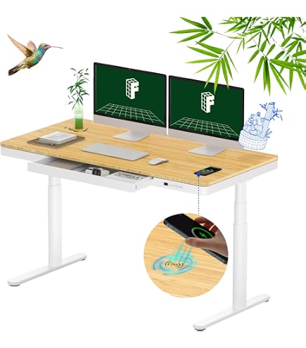 Amazon.com: FLEXISPOT E3 Dual Motor 60 x 24 Electric Standing Desk