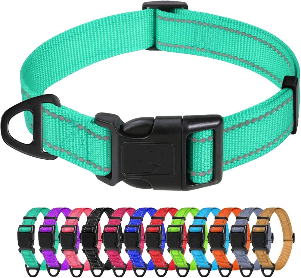TagMe Reflective Nylon Dog Collar Adjustable 2.0 cm Turquoise Small Dogs