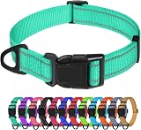 TagMe Reflective Nylon Dog Collar Adjustable 2.0 cm Turquoise Small Dogs