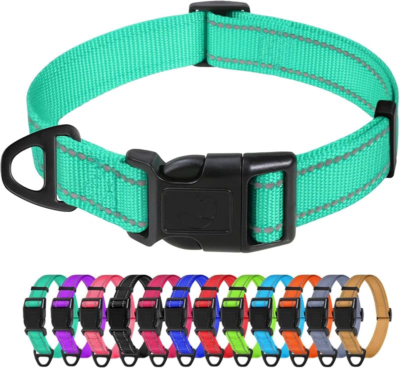 TagMe Reflective Nylon Dog Collar Adjustable 2.0 cm Turquoise Small Dogs