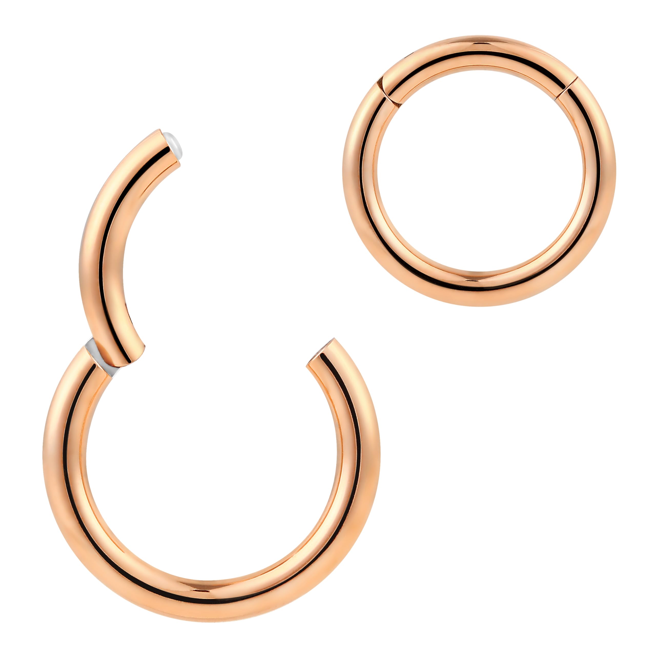 365 SLEEPERS Titanium Implant Grade Nose Rings Septum Jewellery Hinged Segment Ring Body Piercing Hoop Lip Rings Helix Cartilage Rook Earrings Nickel Free Hypoallergenic (10G 18mm)