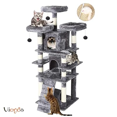 Yalangoch yigitning fotosuratlari Katta semiz yalangoch qora tanli ayollar