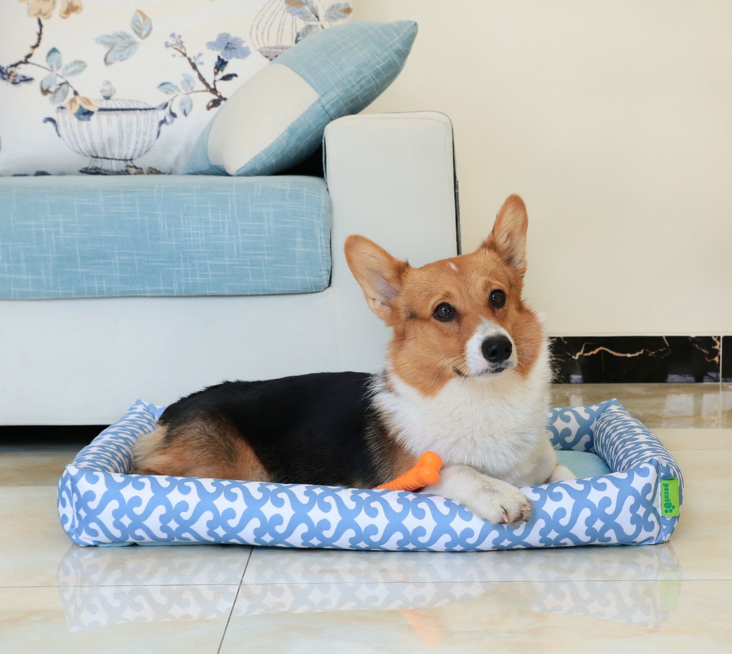 Cuccia per Cane da Interno Sfoderabile Materassino Cane Imbottito Cuccia per Cane da Interno Sfoderabile Materassino Cane Imbottito per Gabbia Trasportino Macchina Tessuto rinfrescante Adatto per Primavera