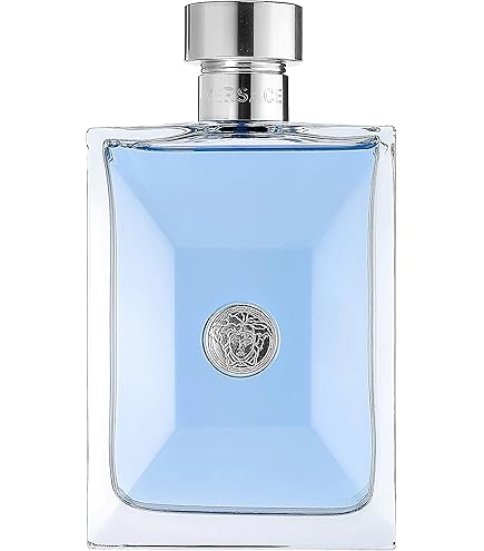 Chanel Égoiste Platinum 100ML EDT | Amazon.com.br