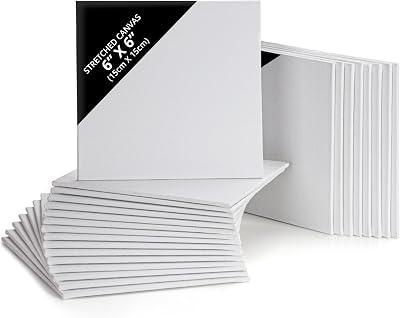 BELLE VOUS 24 Pack Blank Canvas 15x15 cm Pre Stretched Panels