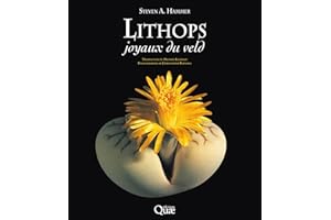 Lithops: Joyaux du veld (Beaux livres) (French Edition)
