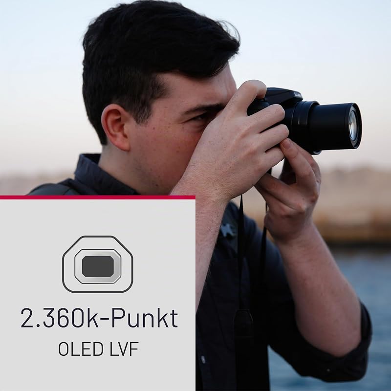 Lumix DC-FZ82DE Bridgekamera mit 20-1200 mm F2.8-5.9 Objektiv, 18,1 MP, 4K Video & Foto, OLED Live-View-Sucher, LCD-Touchscreen, USB-C, Schwarz
