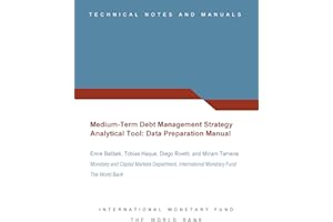 Medium-Term Debt Management Strategy Analytical Tool