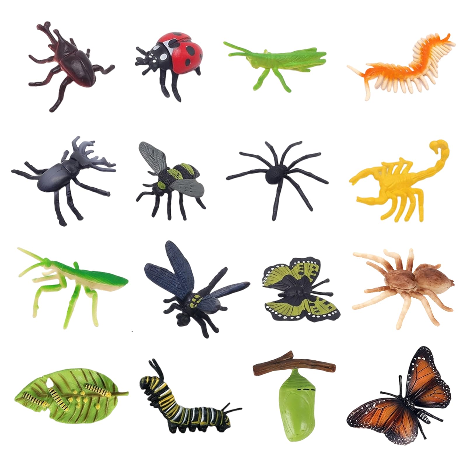 16PCS Butterfly Kits with Live Caterpillars, Educational Insect Butterfly Kit, Nature Study and Science Learning Activities, Luna Moth and Butterfly Development Stages Collection