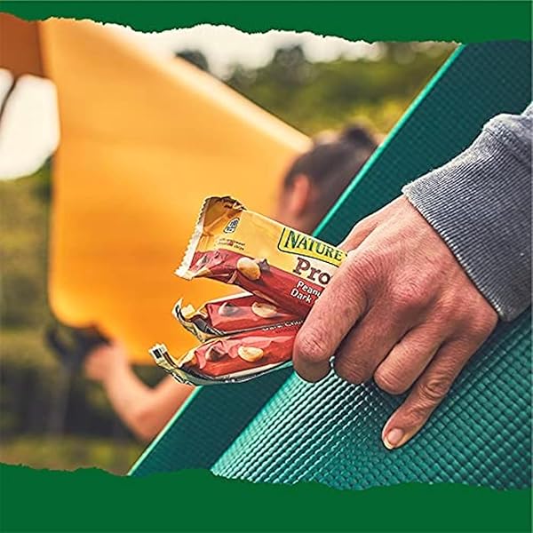 NATURE VALLEY PROTEIN GRANOLA BARS, SNACK VARIETY PACK, CHEWY BARS, 15 CT, 21.3 OZ