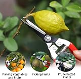 Kynup Garden Secateurs 3-Piece Set with Heavy Duty Bypass Shears view 6