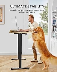 ErGear Height Adjustable Electric Standing Desk, 40