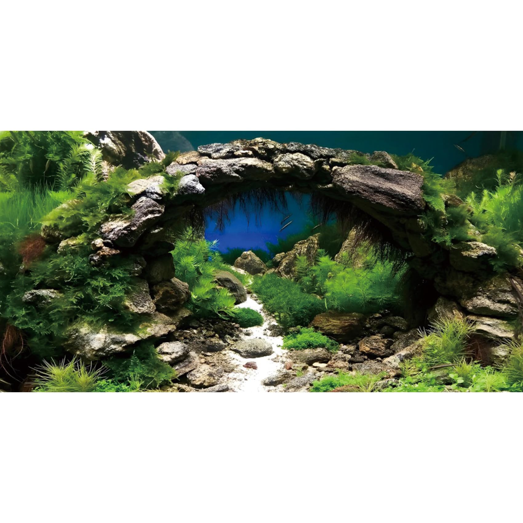 Photo 1 of AWERT 24x12 inches Arch Stone Aquarium Background River Bed & Lake Aquarium Vinyl Background Aquatic Plant Fish Tank Background