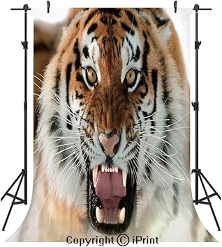 Amazon Com Safari Decor Photography Backdrops The Siberian