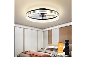 Bridika Ceiling Fans with Lights,19.7" Modern Low Profile Ceiling Fan with Light with 3 Color Dimmable Memory LED,6-Speed Black Flush Mount Ceiling Fan for Bedrooms