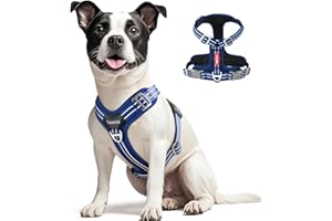 Tacwild No Pull Dog Harness - Adjustable Reflective Dog Vest with Metal Snap, Soft Breathable Mesh No Choke Puppy Harness, Easy to Put on & Take Off (Blue-M)
