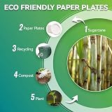 GreFusion 9 Inch Strong Paper Plates 125 Pack Sugarcane Eco Friendly White view 6