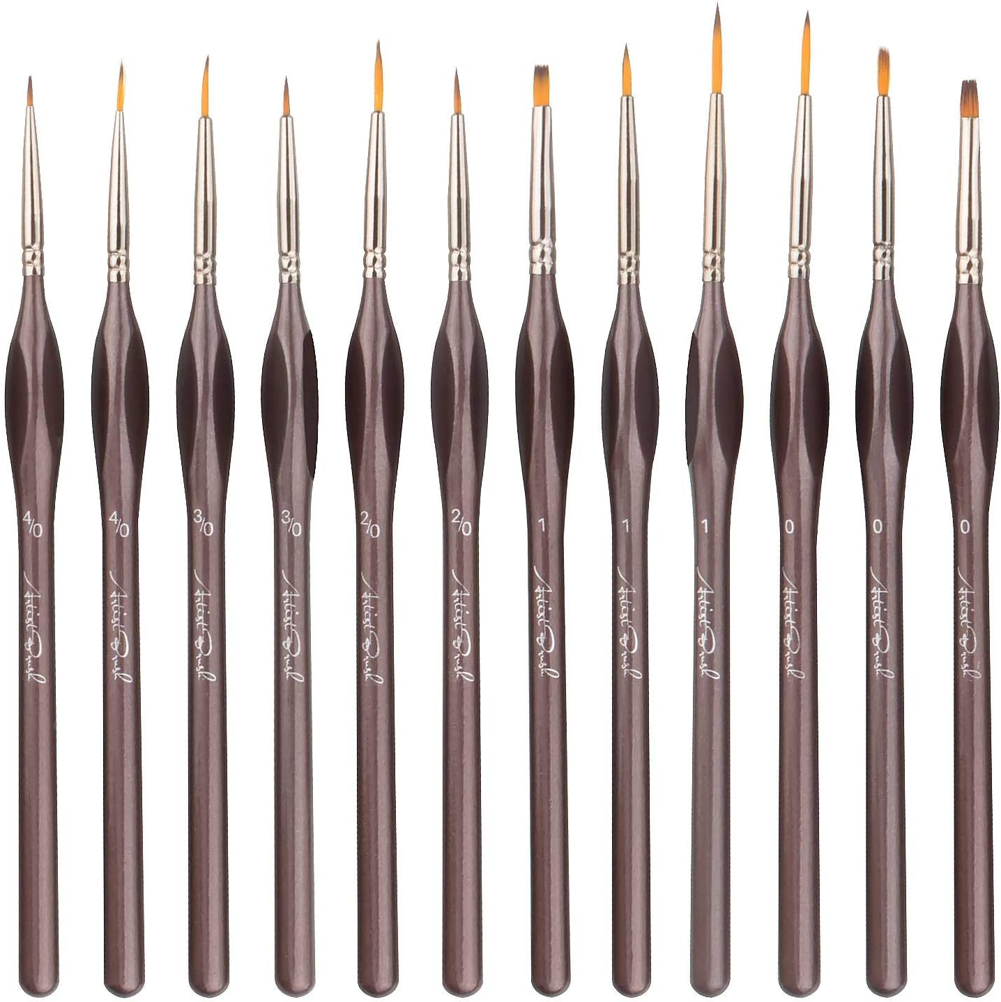 ASelected 12 Pcs Fine Detail Paint Brushes Set with Easy-Grip Handles - Artist Miniature Thin Paintbrushes Tiny Liner Round Flat Painting Kit for Model Art Watercolour Acrylic Oil Rock Painting