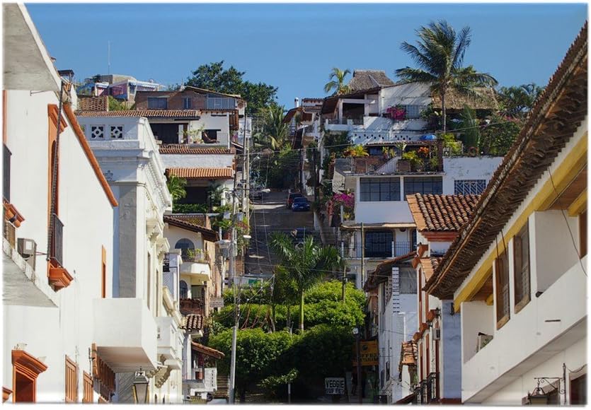 Best dishwasher magnet cover beach
