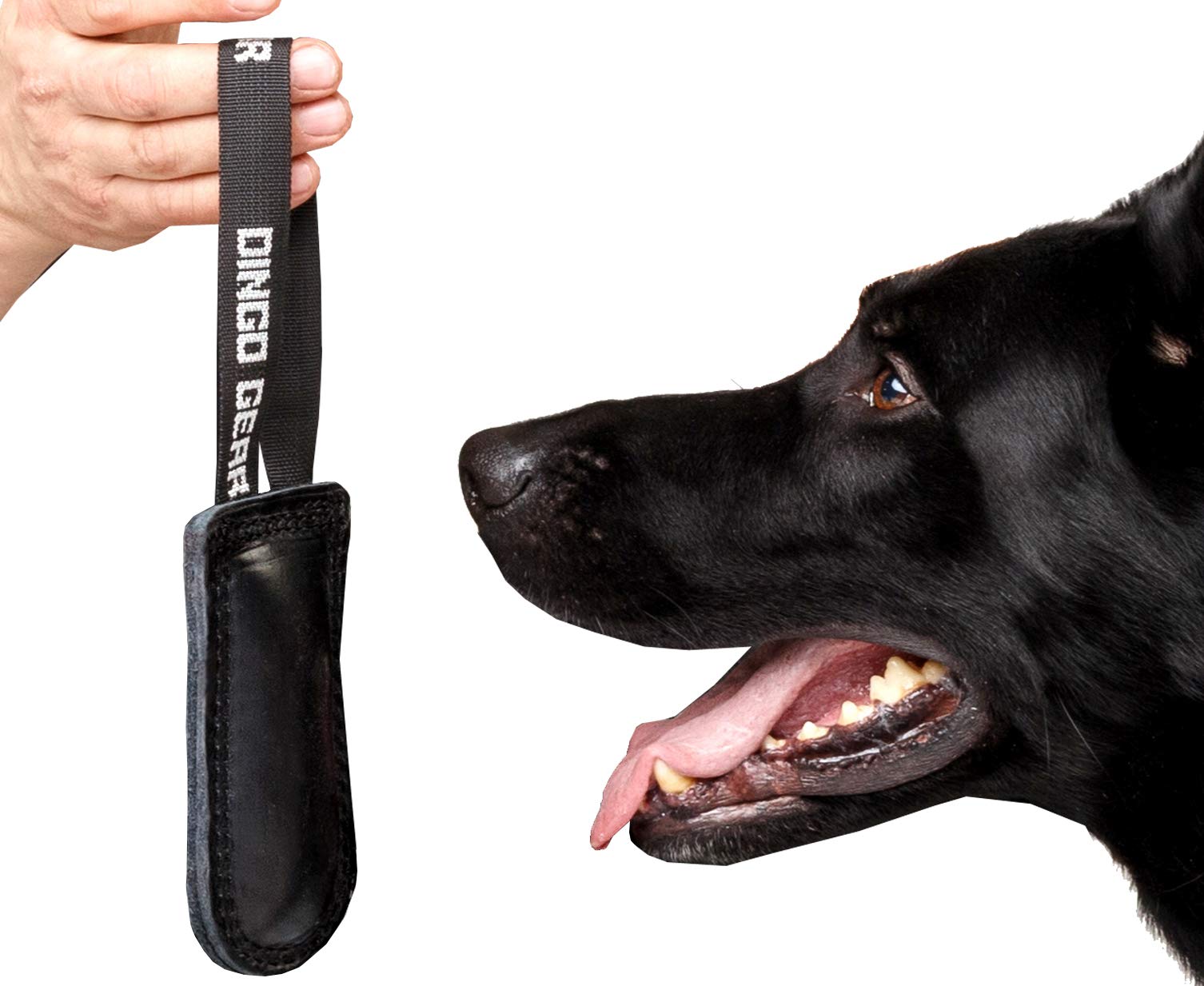 DINGO GEAR Dog Bite Tug Toy Hand Sewn Black Grain Leather Strong Polypropylene Handle for Training K9 IGP Agility Play - 15 x 6 cm, Black Espresso (S00226)