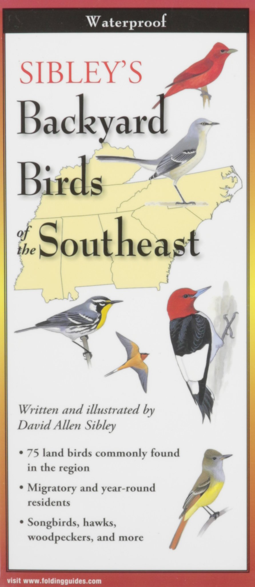 Sibley S Backyard Birds Of The Southeast Foldingguides David