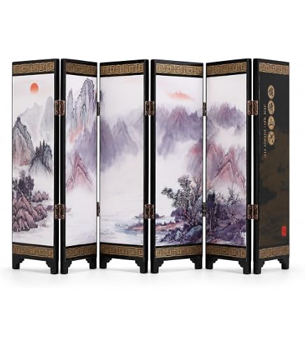 Amazon.com: APERFECT Decorations for The Home, 6 Panel Divider