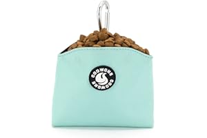 COOWONE Dog Treat Pouch Magnetic Closure Small Dog Training Treat Pouch Pocket Sized Small Dog Treat Pouch with Clip (mint green)