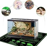 Hyindoor Seedling Heat Mat with Digital Thermostat 20.75" x 20.75" view 6