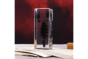 ABURRORI Taxidermy Black Scorpion Insect in Resin, 4.3 x 1.7 x 1 inches Real Bug Black Scorpion Specimens Animal in Resin Paperweights Specimen for Classroom Science Education Desk Decor (Black Scorpion)