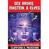 Sex, Drugs, Einstein & Elves: Sushi, Psychedelics, Parallel Universes and the Quest for Transcendence