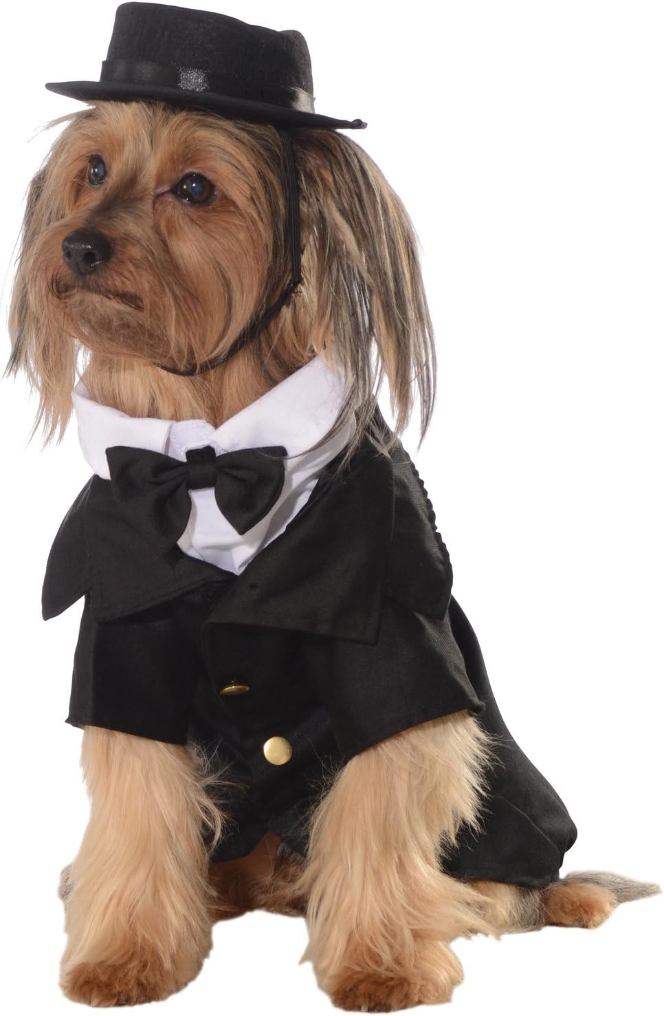 Dapper dog clothing Clearance