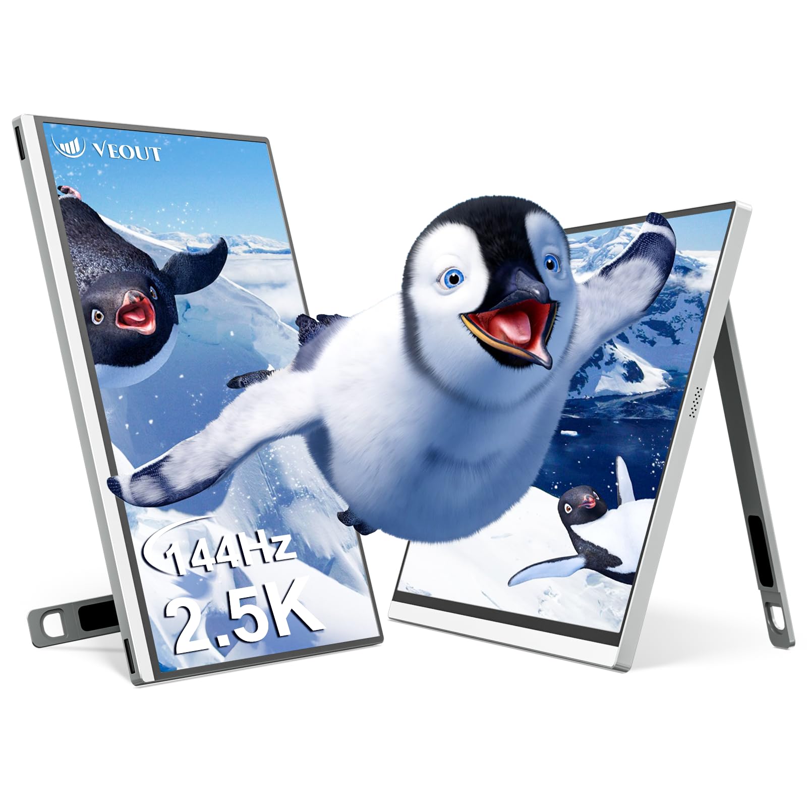 Veout 16-inch 2.5K 144Hz Portable Gaming Monitor in 4 Colors, IPS with FreeSync, USB-C & Mini HDMI for Laptop/Mac/PS5/Xbox/Switch - Travel Second Screen V1Pro(Silver) Image