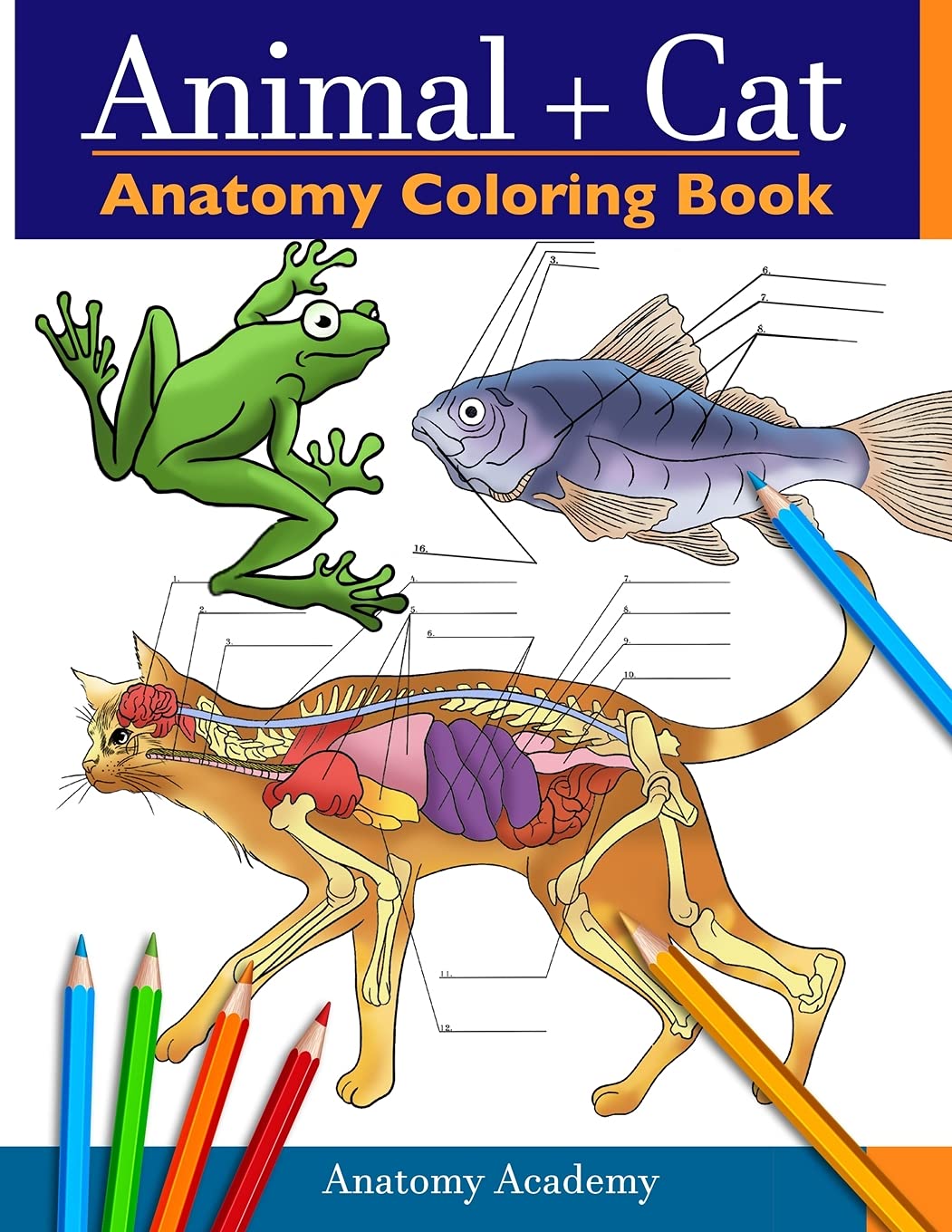 Animal & Cat Anatomy Coloring Book: 2-in-1 Compilation | Incredibly Detailed Self-Test Veterinary & Feline Anatomy Color workbook