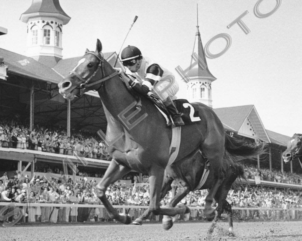 Photographs - SPORTSPHOTOSUSA Affirmed 1978 Triple Crown Champion Horse Race Winner Steve Cauthen 8x10 Photo