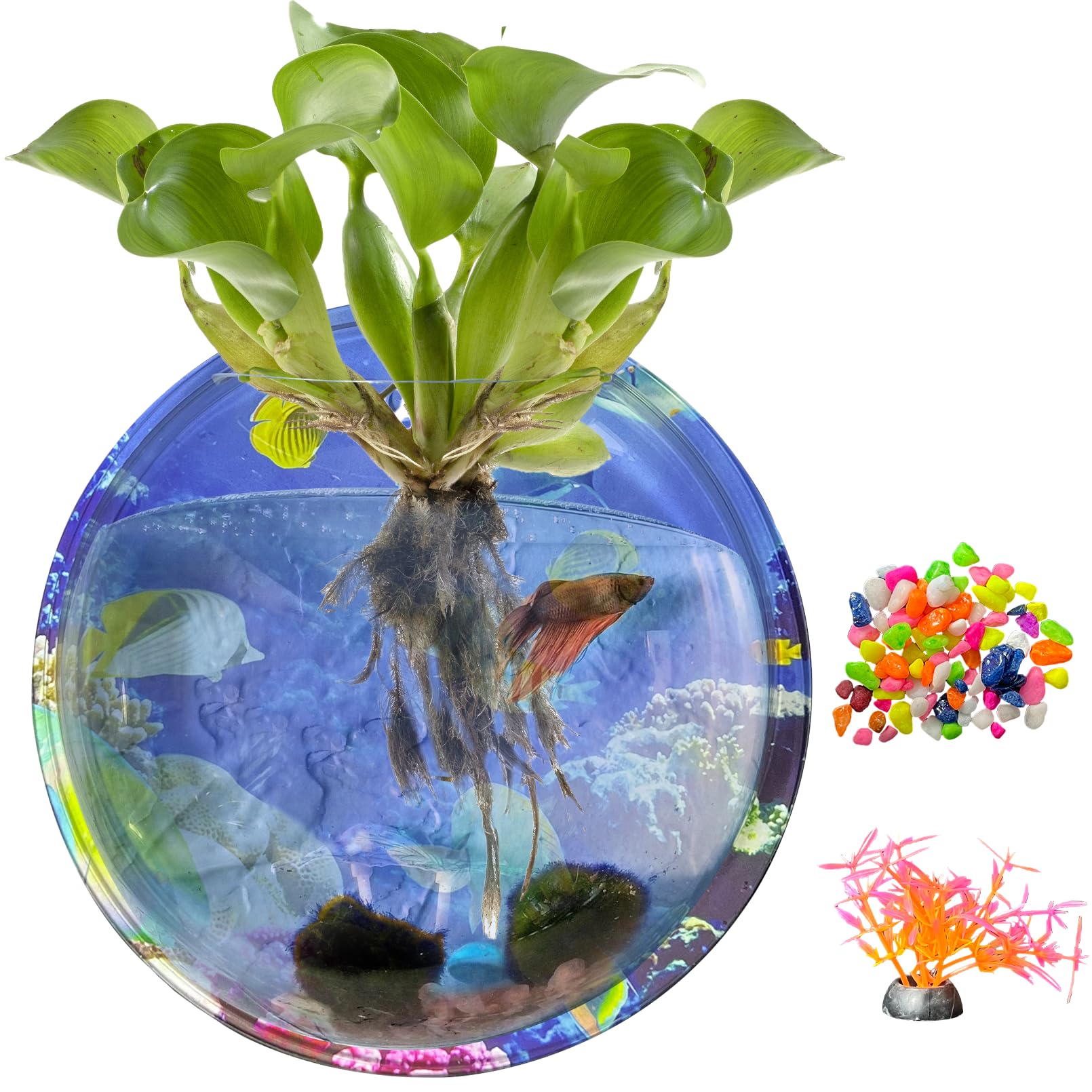 Photo 1 of kathson Acrylic Wall Hanging Fish Bowl Wall Mounted Fish Tank Planter Fish Bubble Hanging Aquarium Hydroponic Plant Pot Betta Fish Tank Bowl for Home Decor Pot Decoration Planter (9.25in)