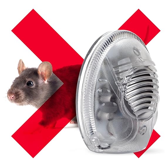 Rats&star Back To The Basic Rar
