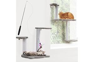 AUCENT window cat perch - cat window bed, cat window perches, wall mounted or suction mounted cat perch, cat scratching Post with bed. Bonus retractable wand cat toy included.
