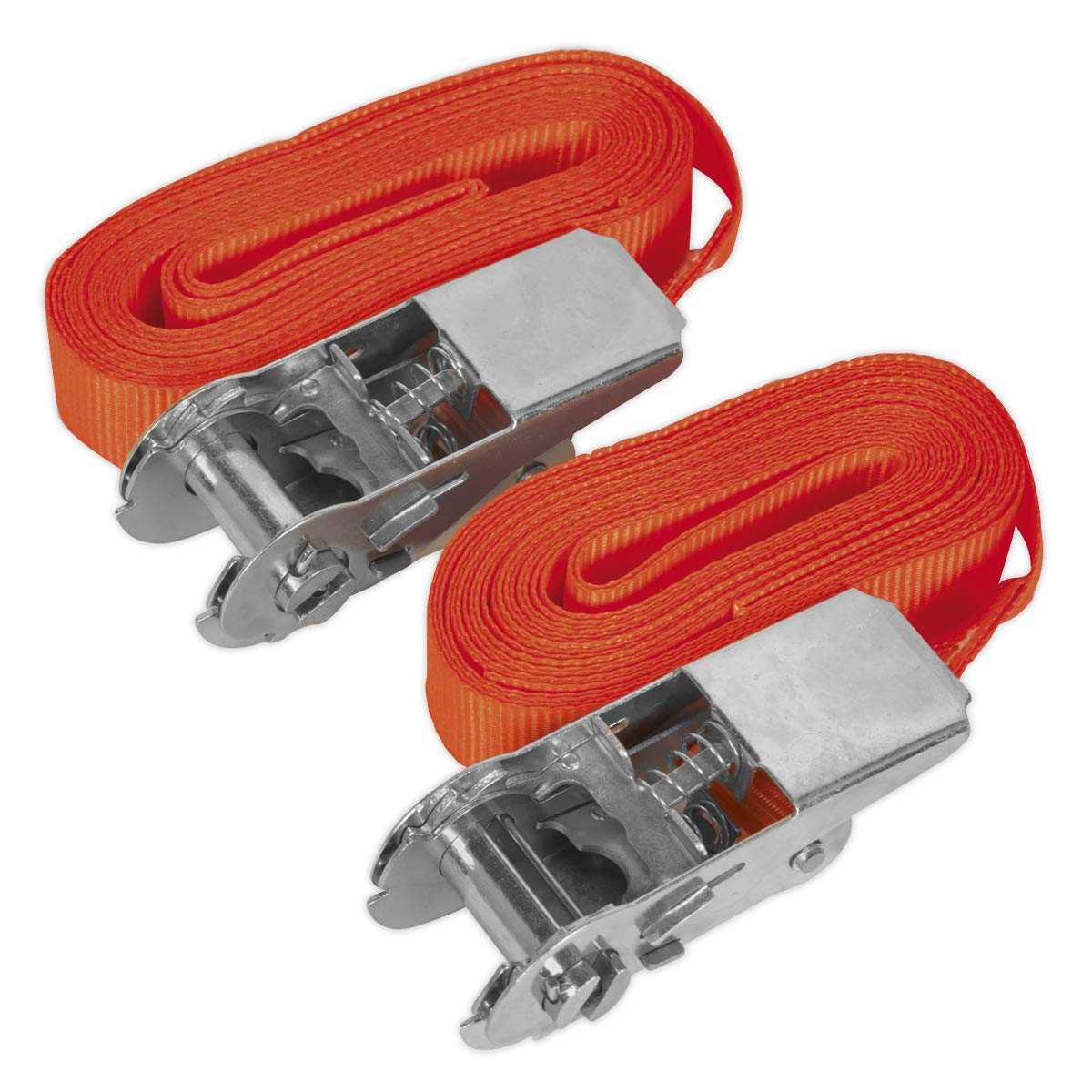 Sealey Td05045E Self-Securing Ratchet Tie Down 25Mm X 4.5Mtr 500Kg Load Pair