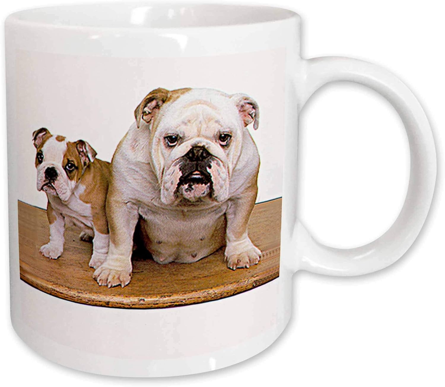 mug bulldog