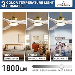 BvenuBigLite Ceiling Fan with Light Modern: 52 Inch