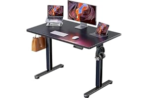 ErGear Height Adjustable Electric Standing Desk, 40 x 24 Inches Sit Stand up Desk, Small Memory Computer Home Office Desk wit