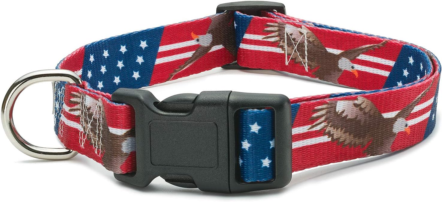 American Flag Dog Collar in 5 Different Sizes (Bald Eagle, Large)