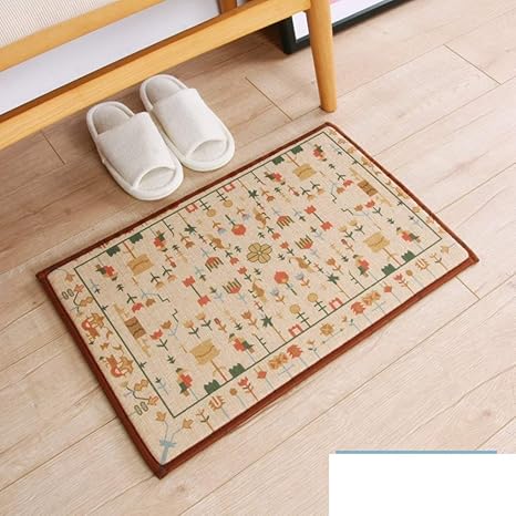 CLLCR Wohnzimmer Mats-Fußmatten/Fußmatte / Lobby Matten/NOLP Mat für Bad Küche Schlafzimmer/Sanitär Saugkissen