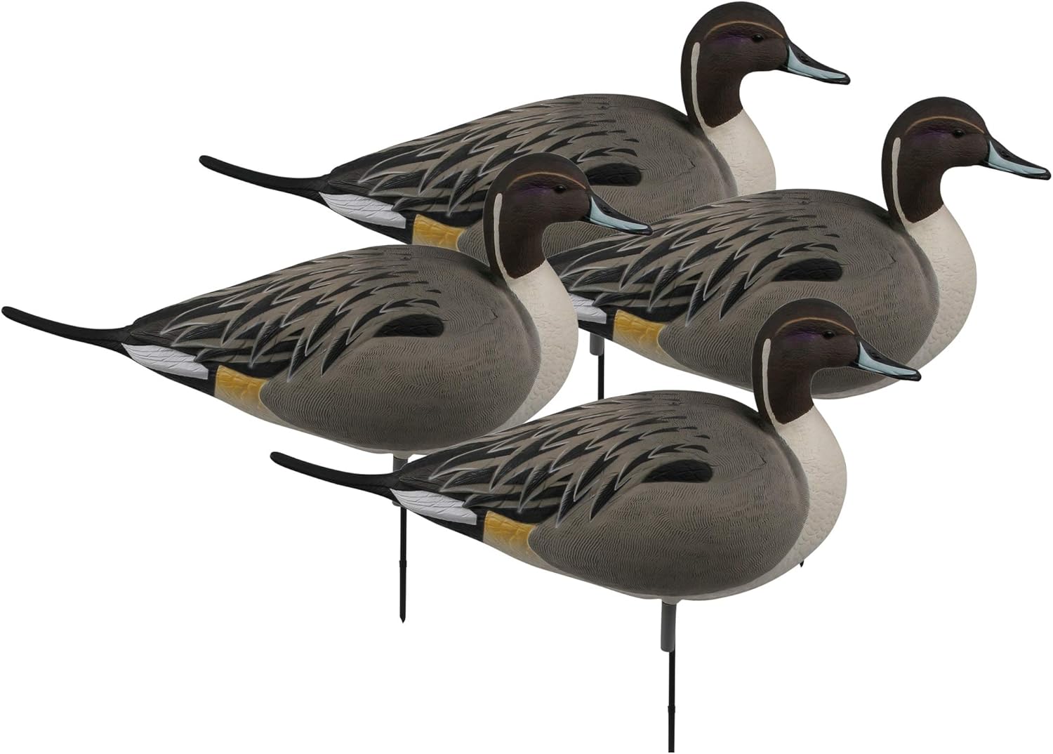 Amazon Com Avery Hunting Gear Over Size Pintail Fb Active Pack