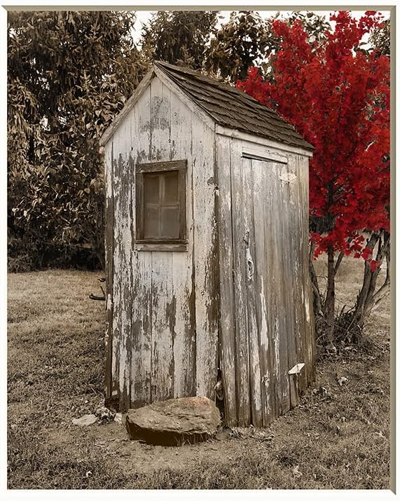 Photographs - Farmhouse Bathroom Rustic Wall Art, Daisy Flowers In Tub Red Brown Home Decor Handmade Matted Wall Decor Picture (Outhouse Tree)