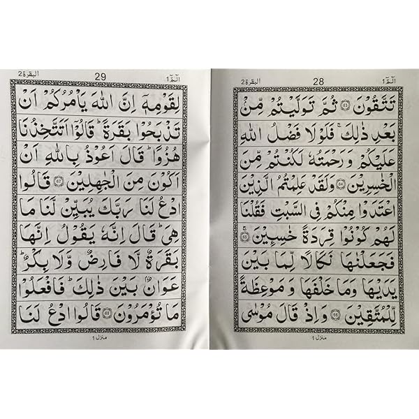 Quran　STONE  Genuine Hand Engraved Holy Quran Sora On Oval Red Aqeeq Stone