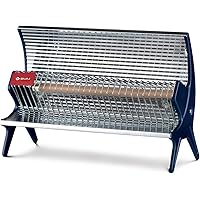 Bajaj Flashy 1000 Watts Radiant Room Heater (Steel)