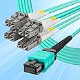 10Gtek Fiber Optic Cable Patch Cord - MPO to 8X LC Fanout Fiber Jumper Cable, OM3 MMF 8-core Fiber, Application for QSFP+Transceiver, 3m(10ft), Breakout 0.5m
