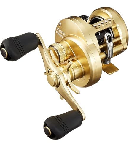 SHIMANO 20 Calcutta Conquest DC 200HG Right, Baitcasting Reels